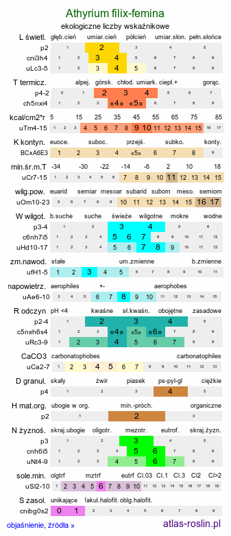 ekologiczne liczby wskaźnikowe Athyrium filix-femina (wietlica samicza)