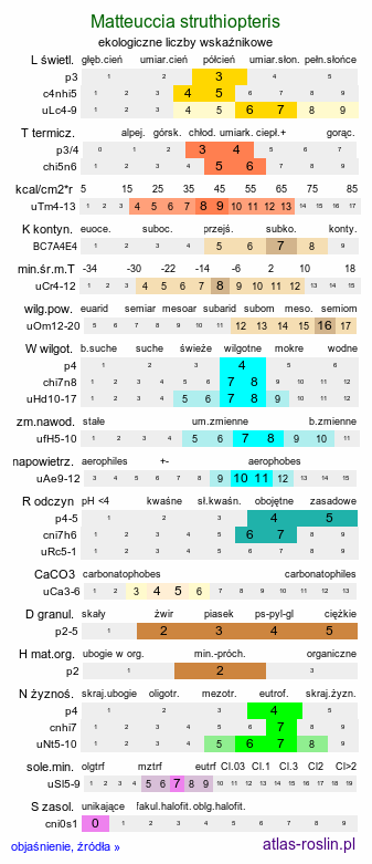 ekologiczne liczby wskaźnikowe Matteuccia struthiopteris (pióropusznik strusi)