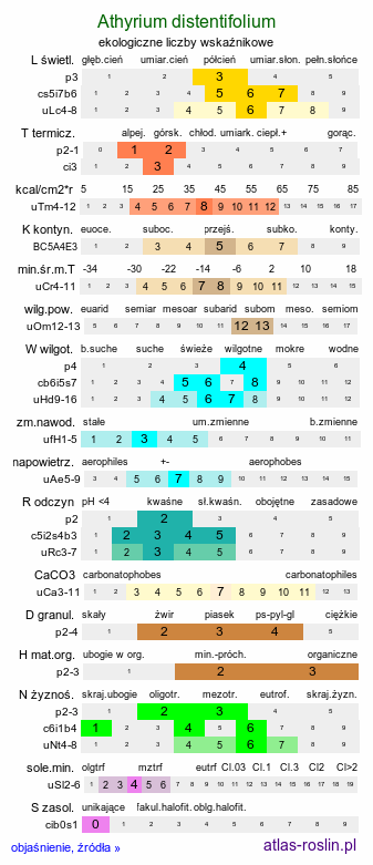 ekologiczne liczby wskaźnikowe Athyrium distentifolium (wietlica alpejska)