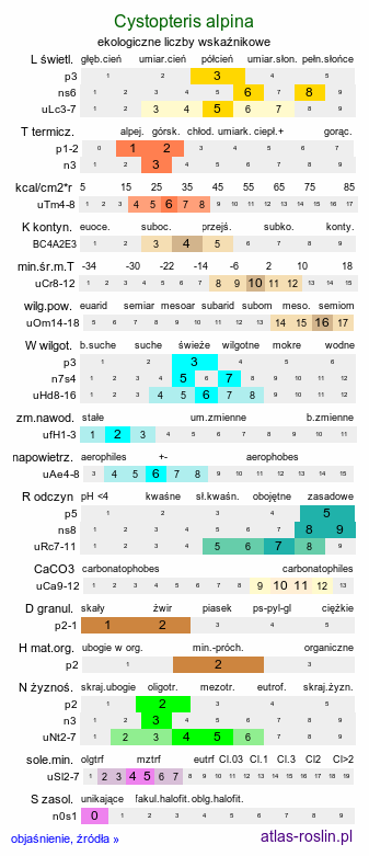 ekologiczne liczby wskaźnikowe Cystopteris alpina (paprotnica królewska)