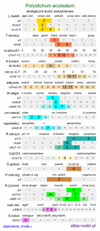 ekologiczne liczby wskaźnikowe Polystichum aculeatum (paprotnik kolczysty)