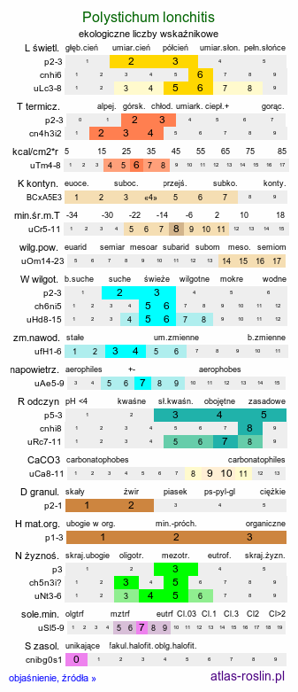 ekologiczne liczby wskaźnikowe Polystichum lonchitis (paprotnik ostry)