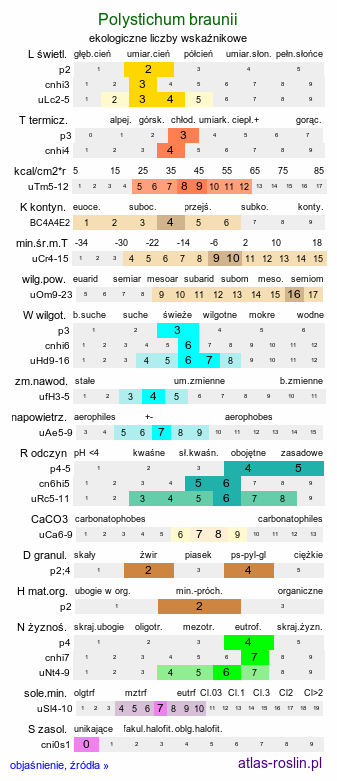 ekologiczne liczby wskaźnikowe Polystichum braunii (paprotnik Brauna)