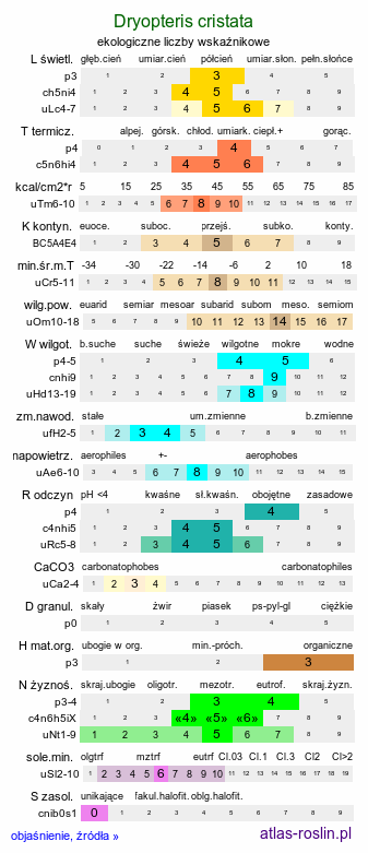 ekologiczne liczby wskaźnikowe Dryopteris cristata (nerecznica grzebieniasta)