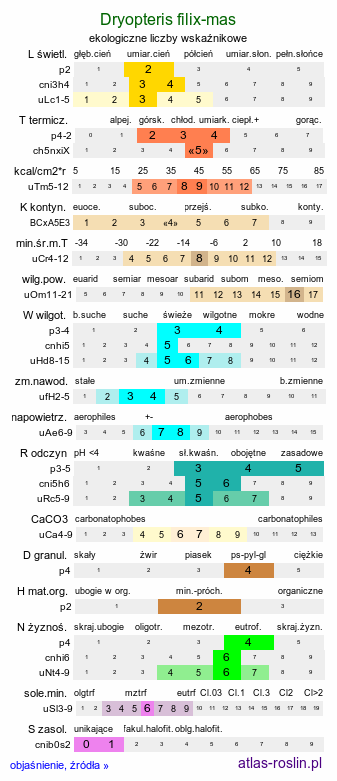 ekologiczne liczby wskaźnikowe Dryopteris filix-mas (nerecznica samcza)