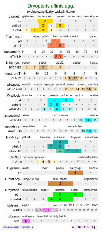 ekologiczne liczby wskaźnikowe Dryopteris affinis agg. (nerecznica mocna agg.)