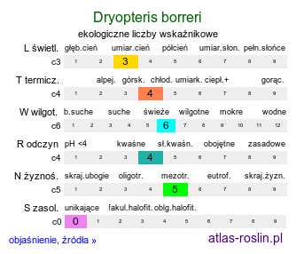 ekologiczne liczby wskaźnikowe Dryopteris borreri (nerecznica Borrera)