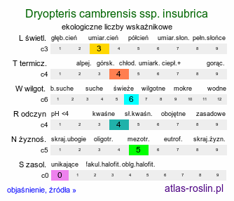 ekologiczne liczby wskaźnikowe Dryopteris cambrensis ssp. insubrica (nerecznica walijska insubryjska)