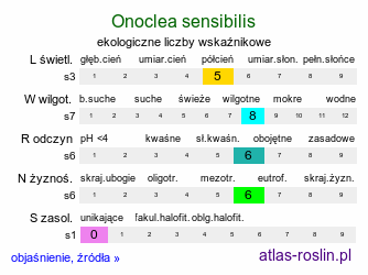 ekologiczne liczby wskaźnikowe Onoclea sensibilis (onoklea wrażliwa)