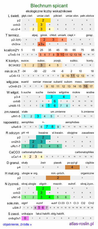 ekologiczne liczby wskaźnikowe Blechnum spicant (podrzeń żebrowiec)