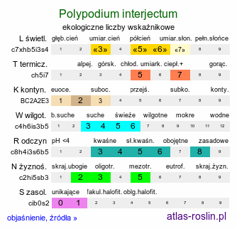 ekologiczne liczby wskaźnikowe Polypodium interjectum (paprotka pośrednia)
