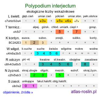 ekologiczne liczby wskaźnikowe Polypodium interjectum (paprotka pośrednia)