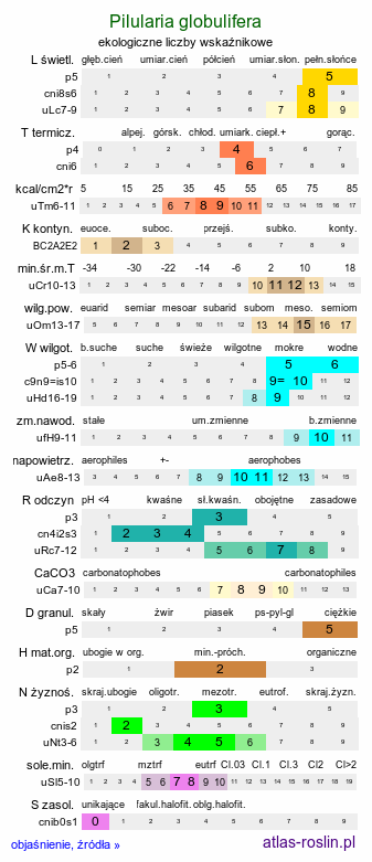 ekologiczne liczby wskaźnikowe Pilularia globulifera (gałuszka kulecznica)