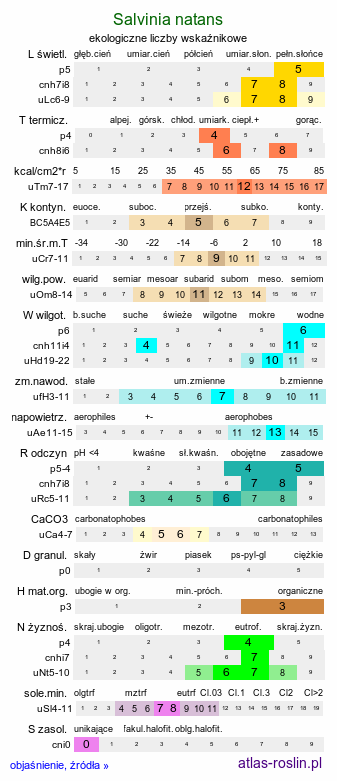 ekologiczne liczby wskaźnikowe Salvinia natans (salwinia pływająca)