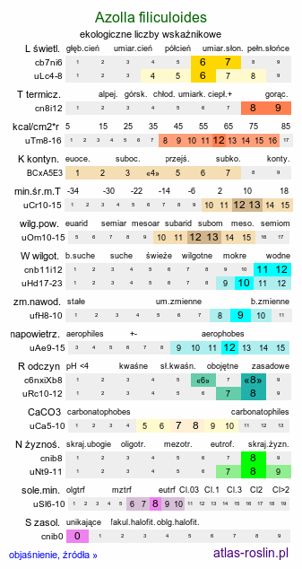 ekologiczne liczby wskaźnikowe Azolla filiculoides (azolla paprotkowa)