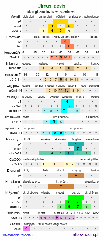 ekologiczne liczby wskaźnikowe Ulmus laevis (wiąz szypułkowy)