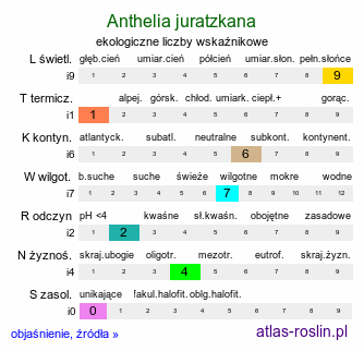 ekologiczne liczby wskaźnikowe Anthelia juratzkana (bielaczka alpejska)