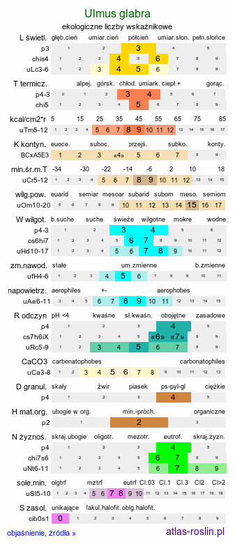 ekologiczne liczby wskaźnikowe Ulmus glabra (wiąz górski)