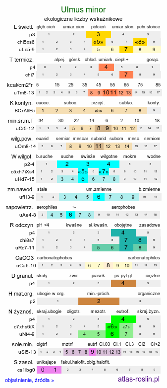 ekologiczne liczby wskaźnikowe Ulmus minor (wiąz pospolity)