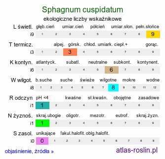 ekologiczne liczby wskaźnikowe Sphagnum cuspidatum (torfowiec szpiczastolistny)