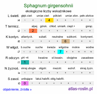 ekologiczne liczby wskaźnikowe Sphagnum girgensohnii (torfowiec Girgensohna)