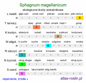 ekologiczne liczby wskaźnikowe Sphagnum magellanicum (torfowiec magellański)