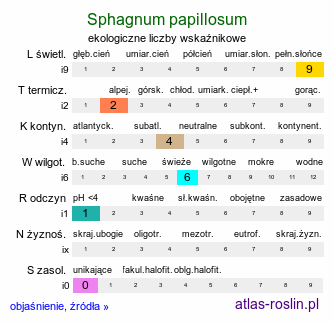 ekologiczne liczby wskaźnikowe Sphagnum papillosum (torfowiec brodawkowaty)