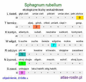 ekologiczne liczby wskaźnikowe Sphagnum rubellum (torfowiec czerwonawy)