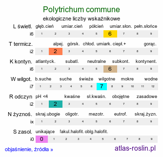 ekologiczne liczby wskaźnikowe Polytrichum commune (płonnik pospolity)