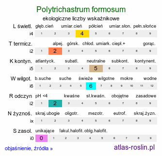ekologiczne liczby wskaźnikowe Polytrichastrum formosum (złotowłos strojny)