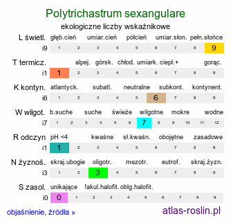 ekologiczne liczby wskaźnikowe Polytrichastrum sexangulare (złotowłos górski)