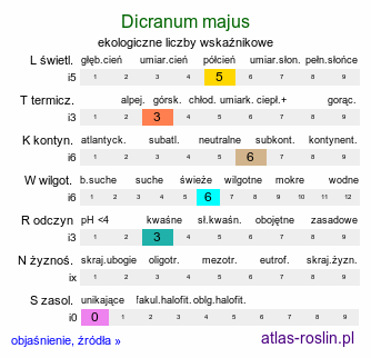 ekologiczne liczby wskaźnikowe Dicranum majus (widłoząb okazały)