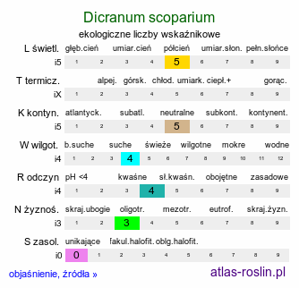 ekologiczne liczby wskaźnikowe Dicranum scoparium (widłoząb miotłowy)