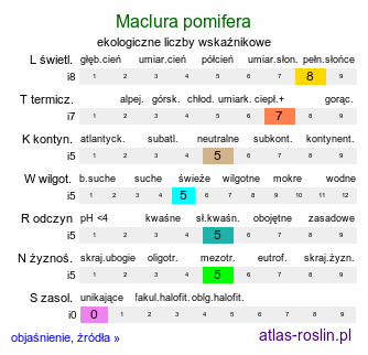 ekologiczne liczby wskaźnikowe Maclura pomifera (żółtnica pomarańczowa)