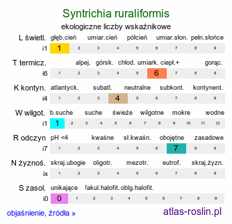 ekologiczne liczby wskaźnikowe Syntrichia ruraliformis (pędzliczek piaskowy)