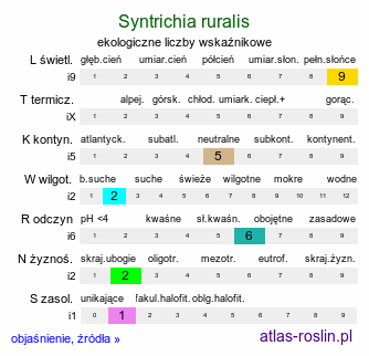 ekologiczne liczby wskaźnikowe Syntrichia ruralis (pędzliczek wiejski)