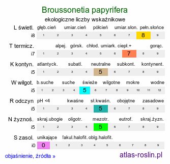 ekologiczne liczby wskaźnikowe Broussonetia papyrifera (brusonecja chińska)