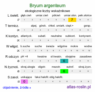 ekologiczne liczby wskaźnikowe Bryum argenteum (prątnik srebrzysty)