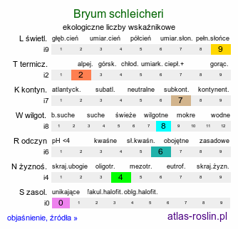 ekologiczne liczby wskaźnikowe Bryum schleicheri (prątnik źródliskowy)