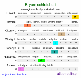 ekologiczne liczby wskaźnikowe Bryum schleicheri (prątnik źródliskowy)