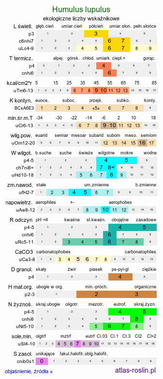 ekologiczne liczby wskaźnikowe Humulus lupulus (chmiel zwyczajny)