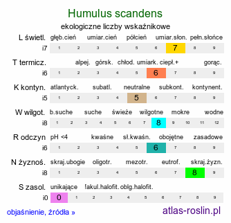 ekologiczne liczby wskaźnikowe Humulus scandens (chmiel japoński)