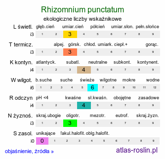 ekologiczne liczby wskaźnikowe Rhizomnium punctatum (merzyk kropkowany)