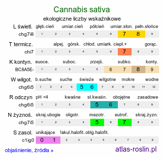ekologiczne liczby wskaźnikowe Cannabis sativa (konopie siewne)