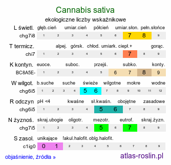 ekologiczne liczby wskaźnikowe Cannabis sativa (konopie siewne)