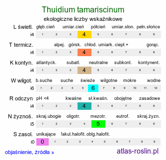 ekologiczne liczby wskaźnikowe Thuidium tamariscinum (tujowiec tamaryszkowaty)