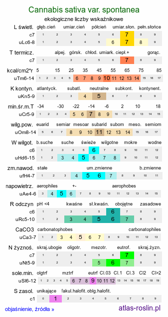 ekologiczne liczby wskaźnikowe Cannabis sativa var. spontanea (konopie siewne odmiana dzika)