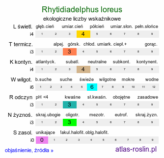 ekologiczne liczby wskaźnikowe Rhytidiadelphus loreus (fałdownik rzemienny)