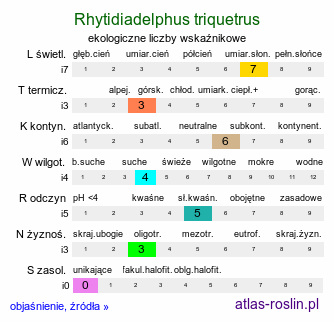 ekologiczne liczby wskaźnikowe Rhytidiadelphus triquetrus (fałdownik szeleszczący)