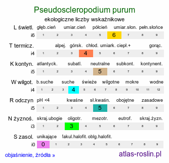 ekologiczne liczby wskaźnikowe Pseudoscleropodium purum (brodawkowiec czysty)